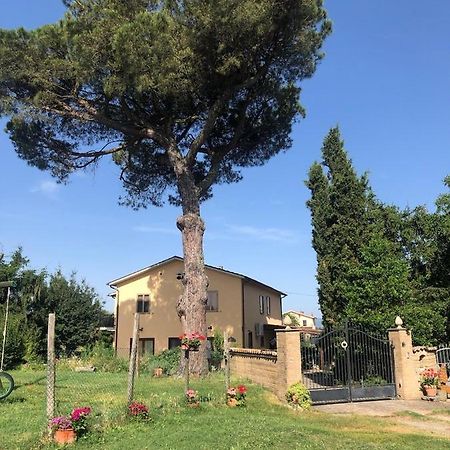 Podere Telesforo أكوابيندينتي المظهر الخارجي الصورة